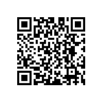 D55342E07B787ERWS QRCode