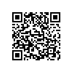 D55342E07B80D6RTP QRCode