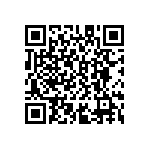 D55342K07B13E0PWSV QRCode