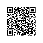 D55342K07B200BRWS QRCode