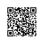 D55342K07B383BRWS QRCode