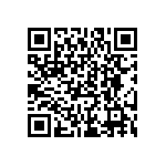 DAMK11W1PA191K87 QRCode