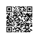 DBM13H3S0L4A191A197 QRCode