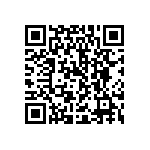 DBMMP13X3SPA101 QRCode