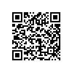 DBMT13W3P0L4A191K87 QRCode