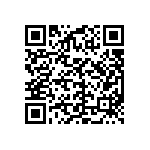 DCM13W6P1AFNA191K87 QRCode