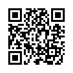 DE4MW QRCode