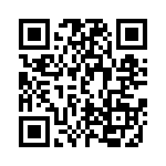 DEM09P300N QRCode