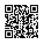 DEM9PA173K87 QRCode