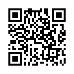 DF38099FP4V QRCode