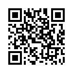 DF3DZ-4P-2H-21 QRCode