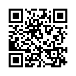 DG413DYZ QRCode