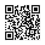 DL4005-13 QRCode