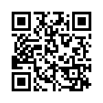 DMT4P1K QRCode