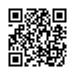 DP4RSA60E60 QRCode