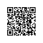 DW-01-17-T-S-300 QRCode