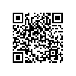 DW-02-09-T-S-395 QRCode