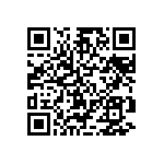 DW-02-13-T-S-1013 QRCode