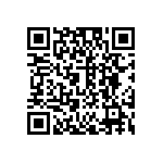 DW-02-13-T-T-1010 QRCode