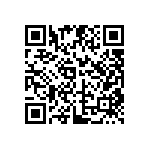 DW-04-09-L-S-437 QRCode