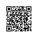 DW-04-09-S-S-385 QRCode