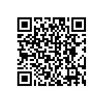 DW-04-11-S-T-400 QRCode