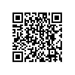 DW-04-12-T-S-787 QRCode