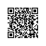 DW-04-13-T-S-948 QRCode