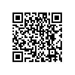 DW-04-16-T-D-300 QRCode