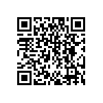 DW-04-19-F-S-993 QRCode