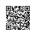 DW-06-13-G-S-917 QRCode