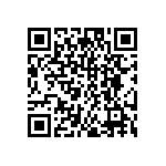 DW-06-17-G-S-295 QRCode