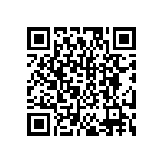 DW-09-17-T-S-250 QRCode