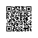 DW-11-13-T-T-1000-004 QRCode