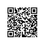 DW-12-13-L-S-897 QRCode