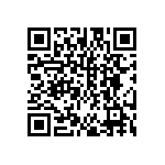 DW-13-13-F-S-955 QRCode