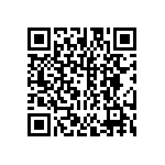 DW-13-13-L-D-919 QRCode