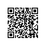 DW-13-13-T-D-787 QRCode