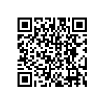 DW-13-17-T-S-240 QRCode