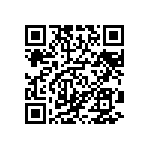 DW-20-13-L-D-691 QRCode