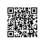 DW-24-13-T-S-925 QRCode