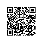 DW-32-13-T-Q-200 QRCode