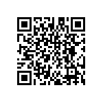 DW-33-15-F-S-295 QRCode