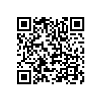 DWM-03-55-L-S-380 QRCode