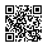 E13522 QRCode