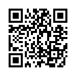 EP4CE22E22C8 QRCode