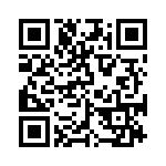 ESQ-119-24-S-T QRCode