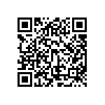 ESQT-112-02-F-S-317 QRCode