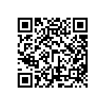 ESQT-113-02-G-Q-368-004 QRCode