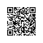 ESQT-133-02-L-D-309 QRCode